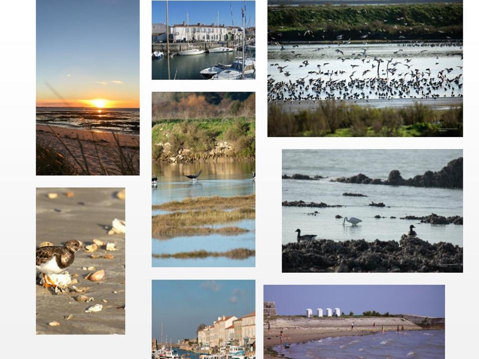 Ile De Re, La Danae, Velos, Wifi, Possibilite Cuisine, Linge, Parking Gratuit サン・マルタン・ド・レ エクステリア 写真